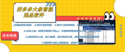 拼多多店群生態(tài)全解析 軟件代理、后臺招商與加盟機(jī)遇